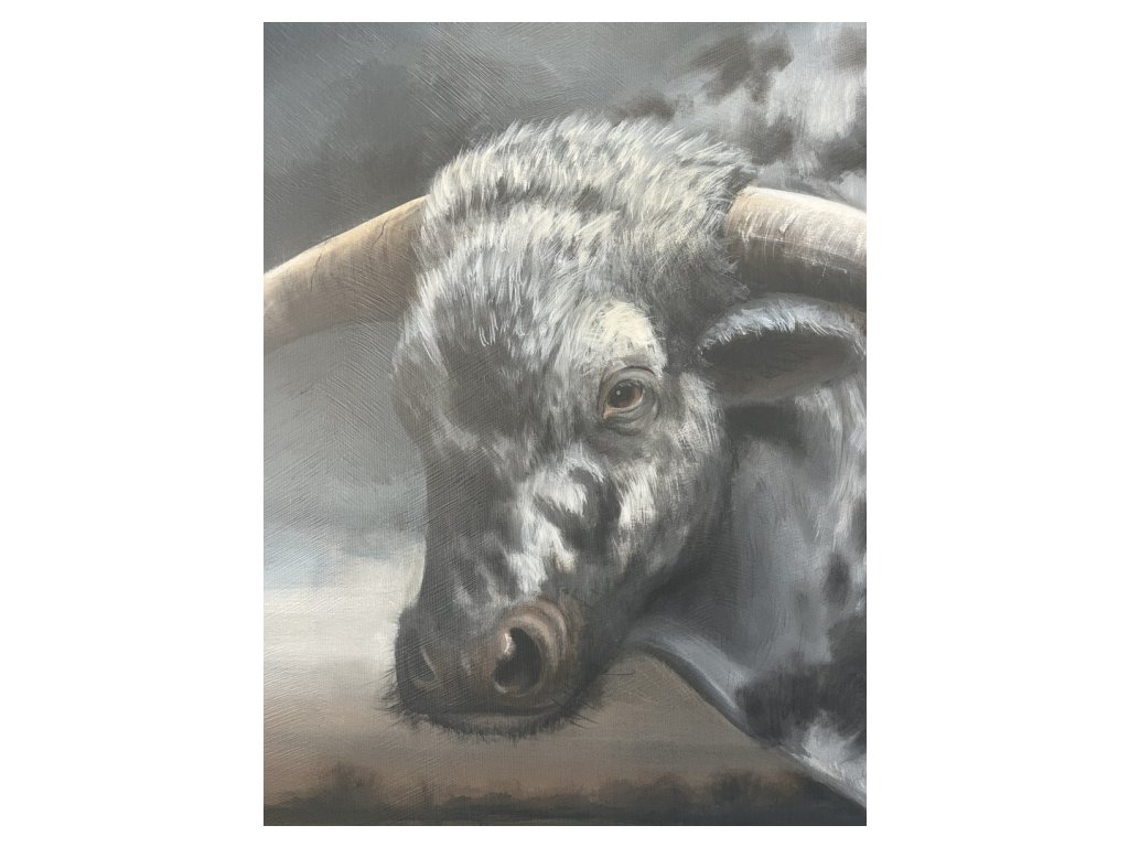 "El Toro" Wall Art