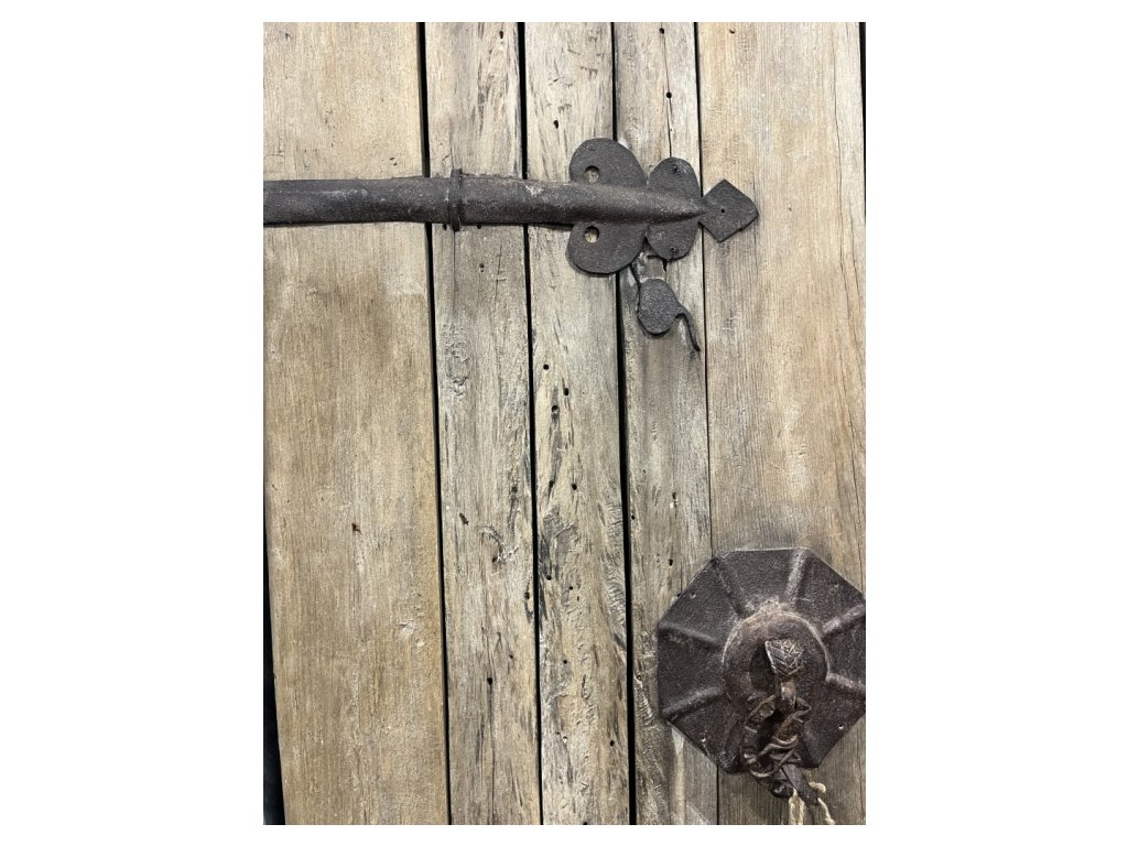 Vintage Door with Hinges