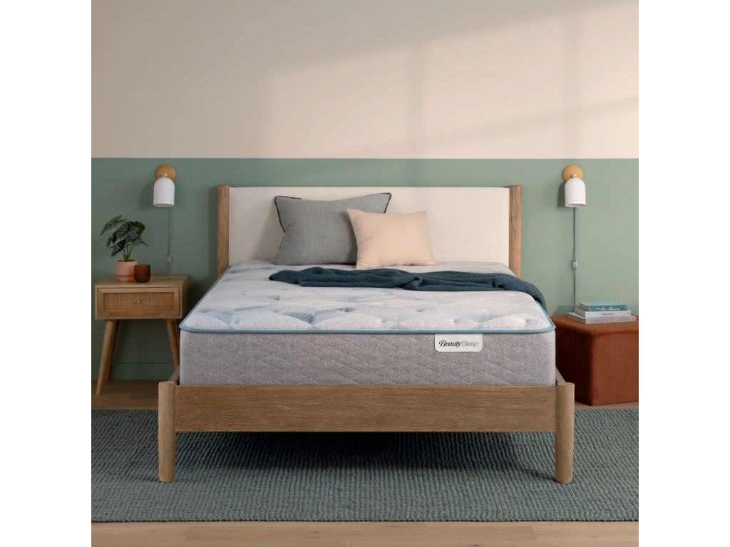 Dream Weaver 13.75" Plush Mattress