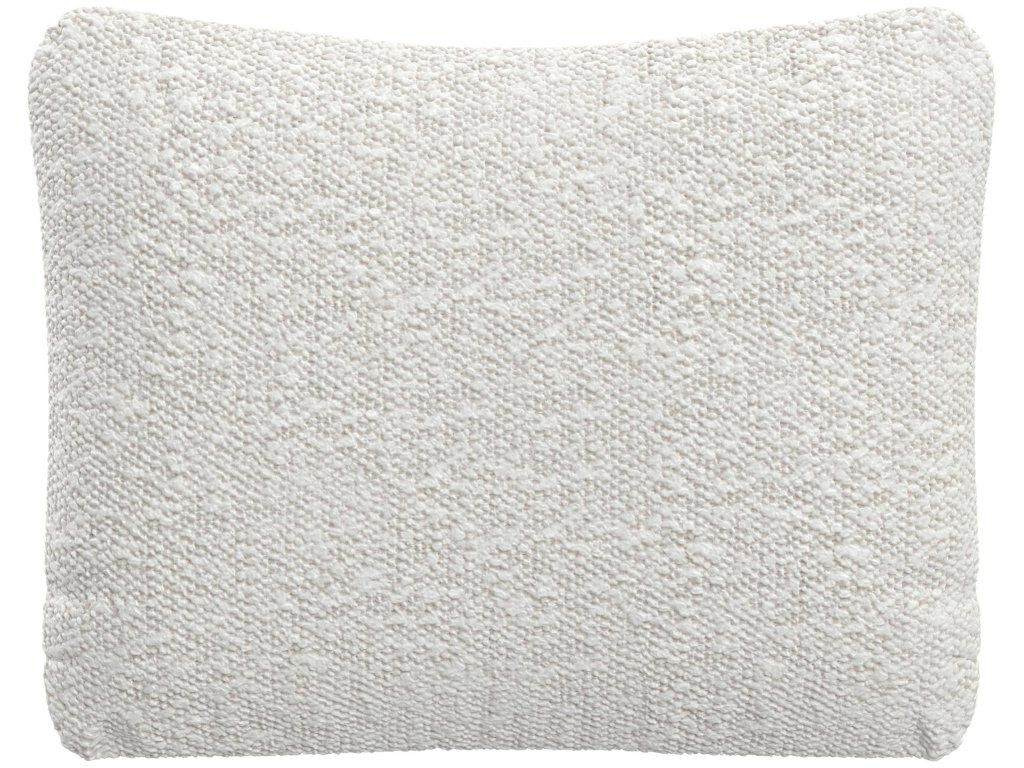 Throw Pillow (20" x 16")