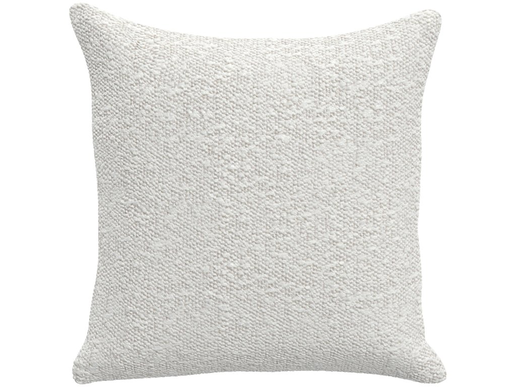 Throw Pillow (19" x 19")