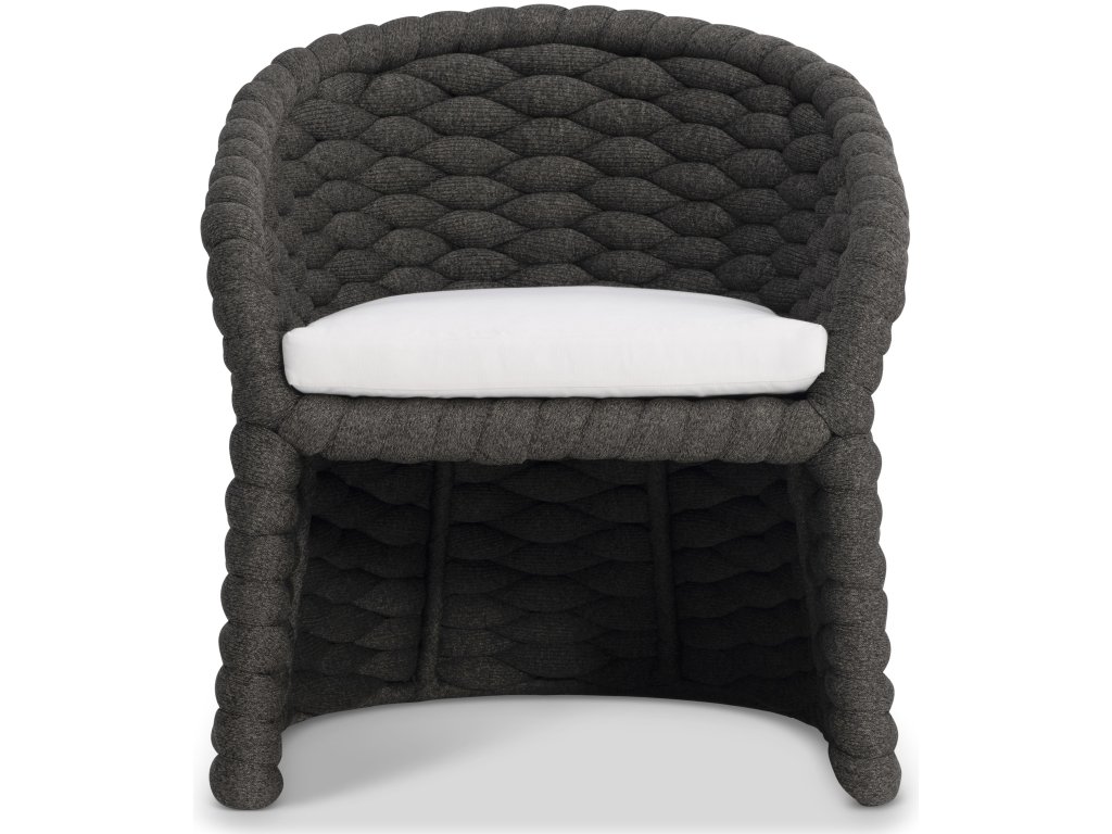 Salinas Arm Chair - Alternative View