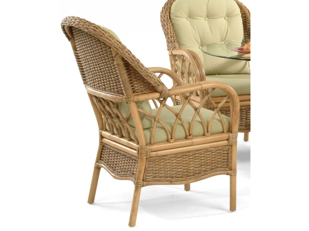 Everglade Dining Arm Chair - Alternative View