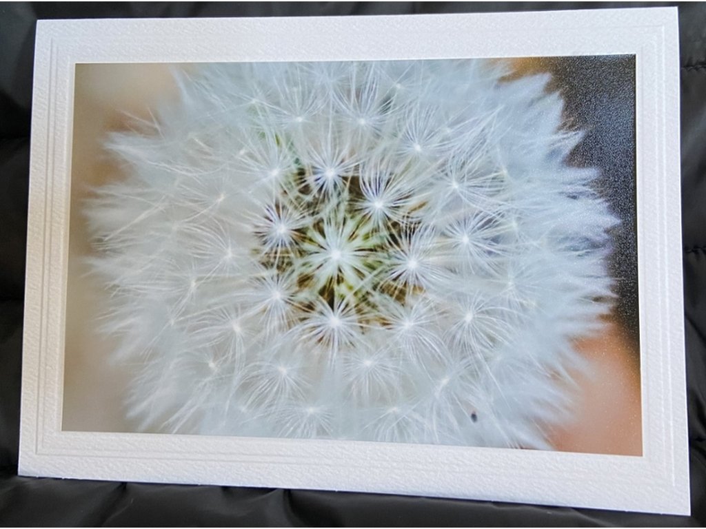 Make a Wish Greeting Card- Blank Inside