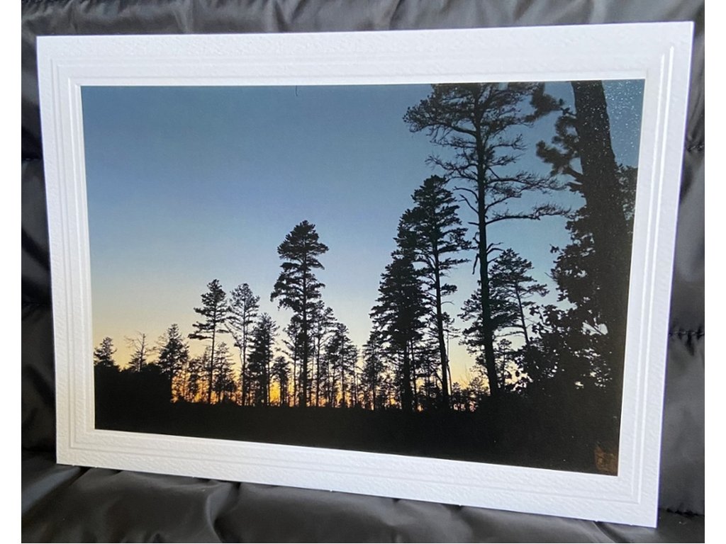 The Forest Greeting Card- Blank Inside