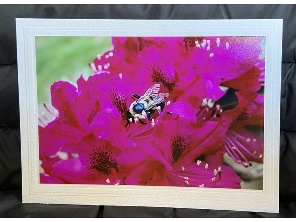 Bumblebee Greeting Card- Blank Inside