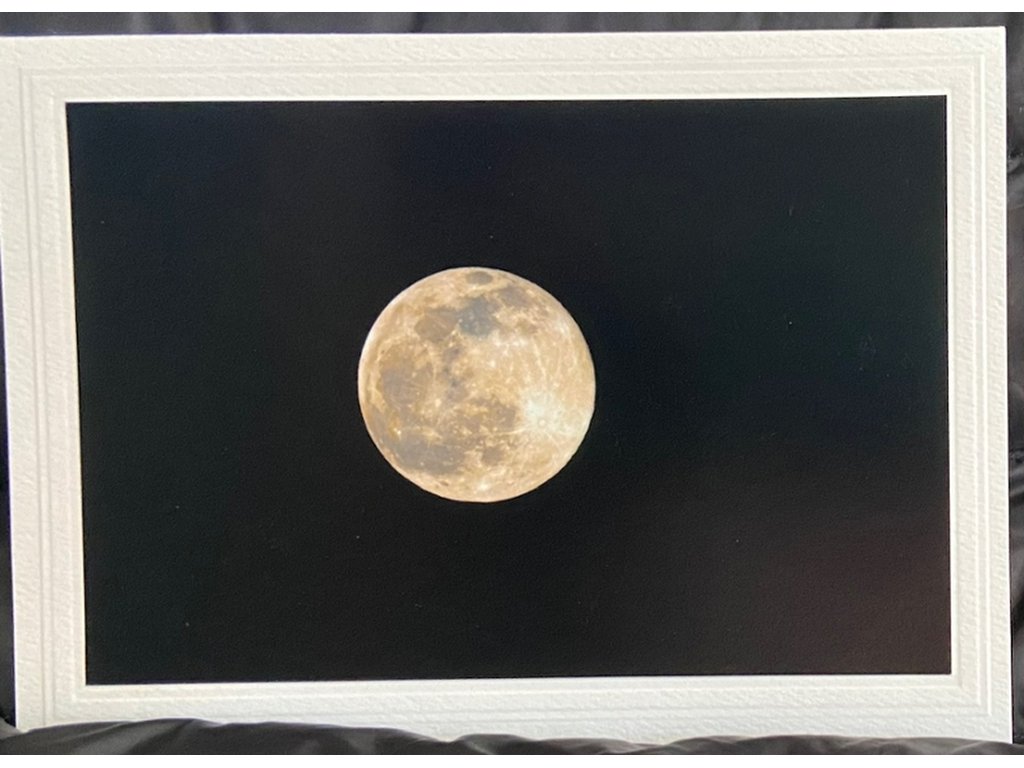 Harvest Moon Greeting Card- Blank Inside