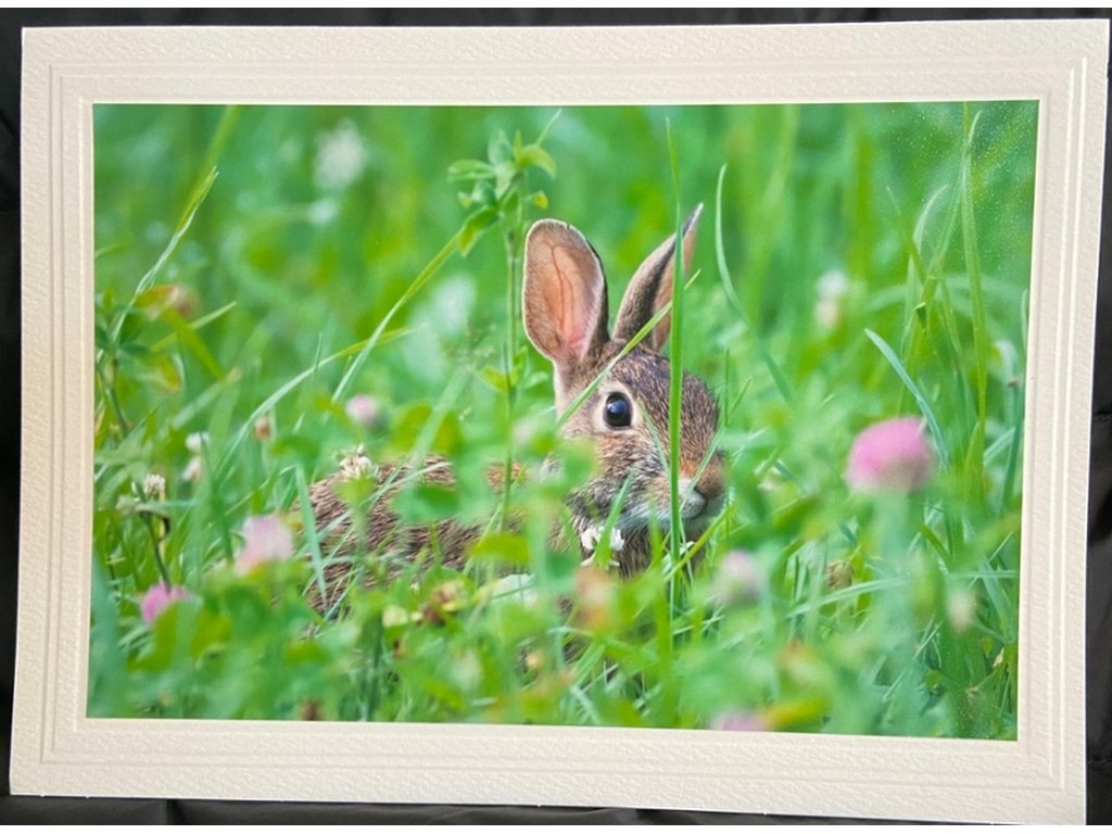 Pretty Bunny Greeting Card- Blank Inside