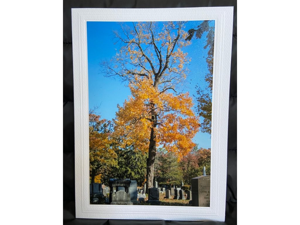 Fall is Here Greeting Card- Blank Inside