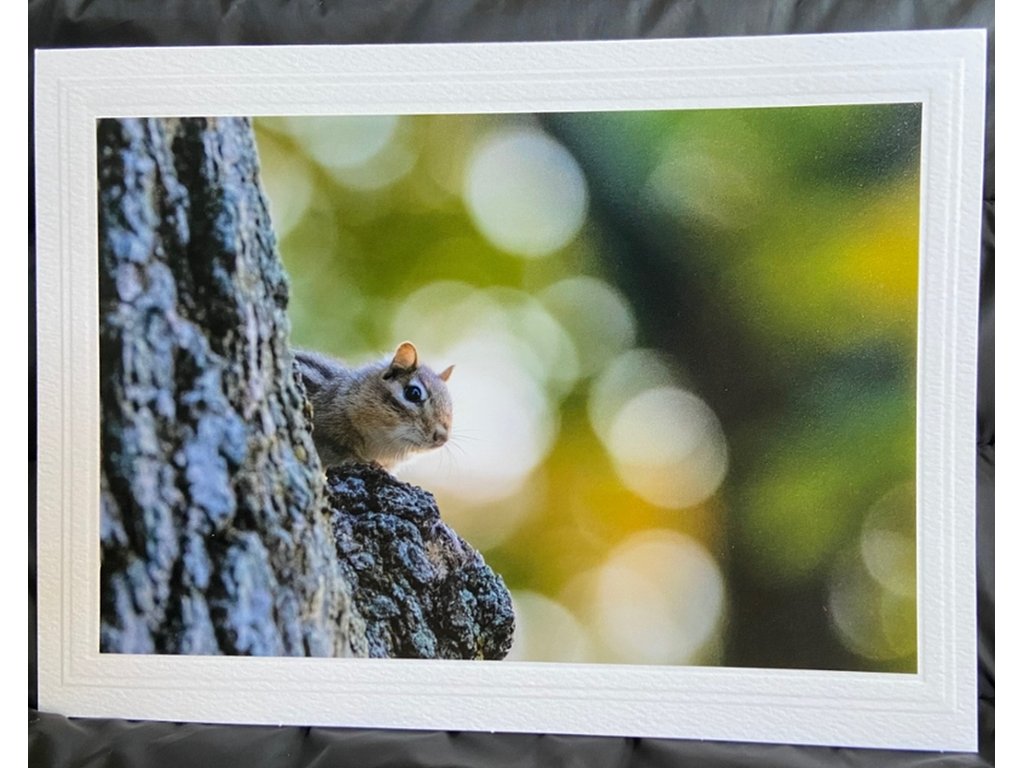 Peek-a-boo Greeting Card- Blank Inside