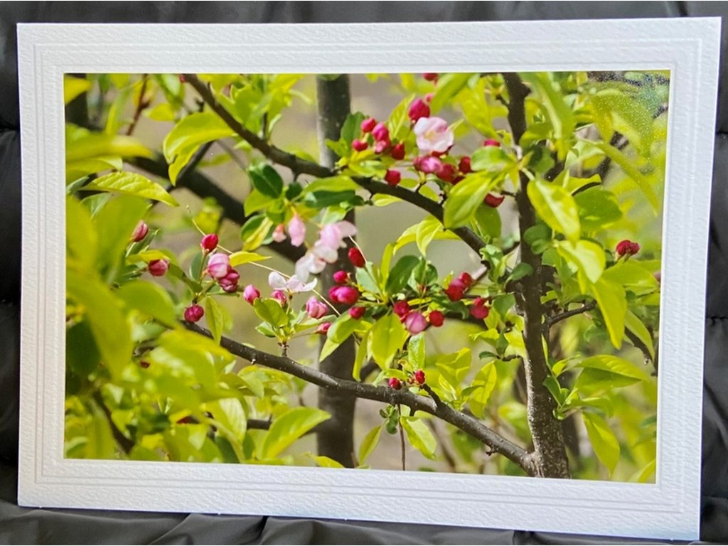 Beautiful Blooms Greeting Card- Blank Inside