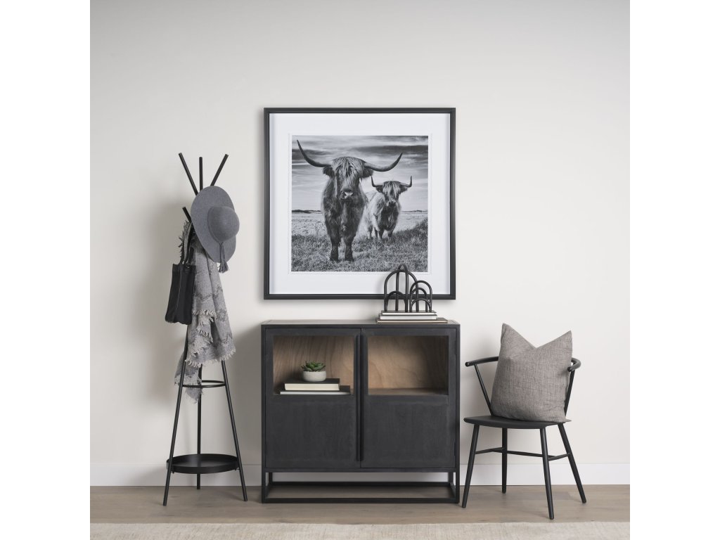 Matte Black Metal w/ Two Metal Shelves Coat Rack