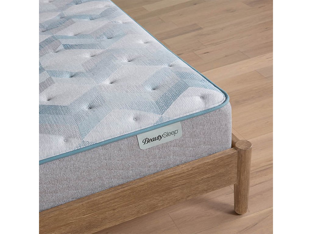 Dream Weaver 13.75" Plush Mattress