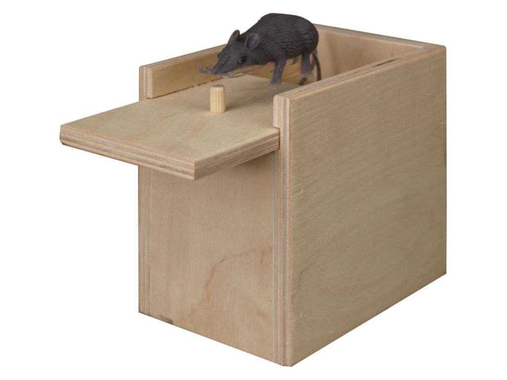 Amish Furniture of NE Surprise Box, alternate view