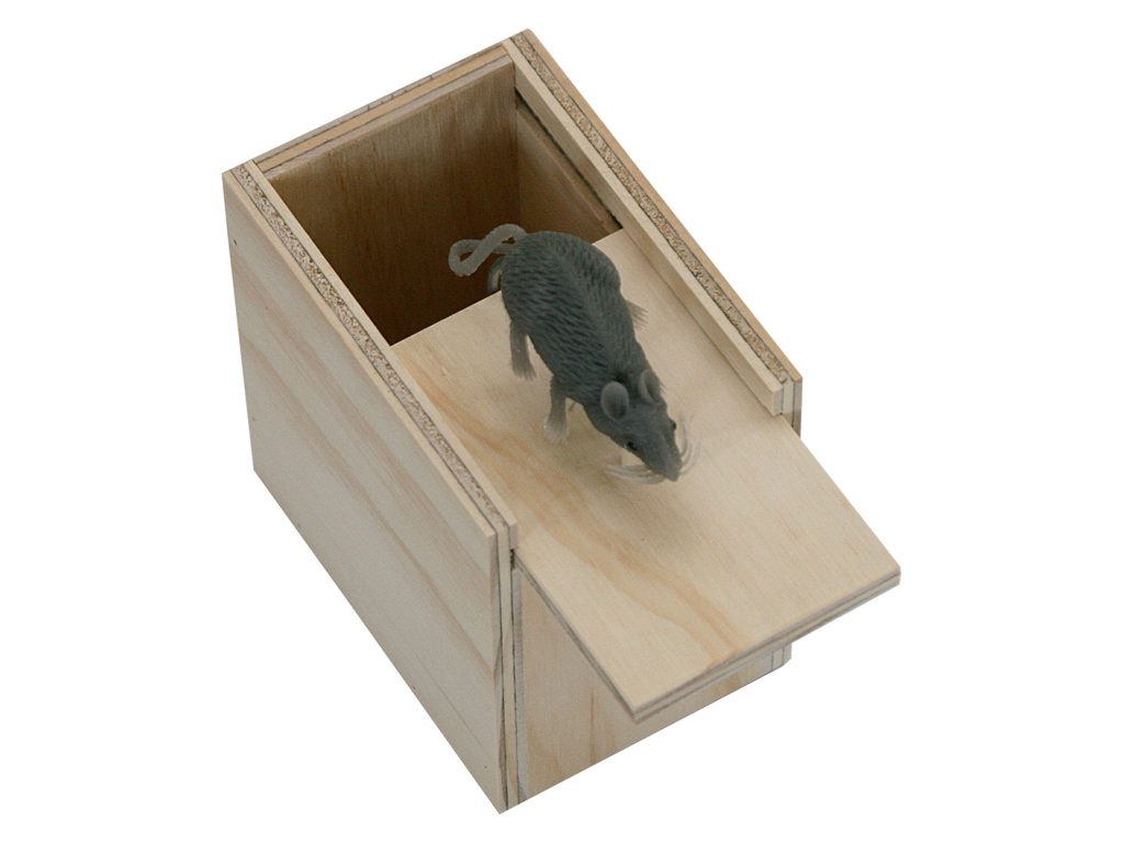 Amish Furniture of NE Surprise Box – Mouse