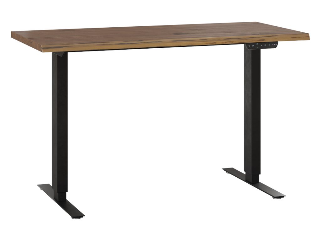 Adona Adjustable Standing Desk