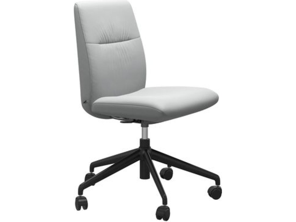 Mint Home Office Low Back - main image
