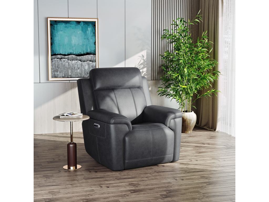 Amelia Charcoal Leather Slumberland Exclusive - image 1