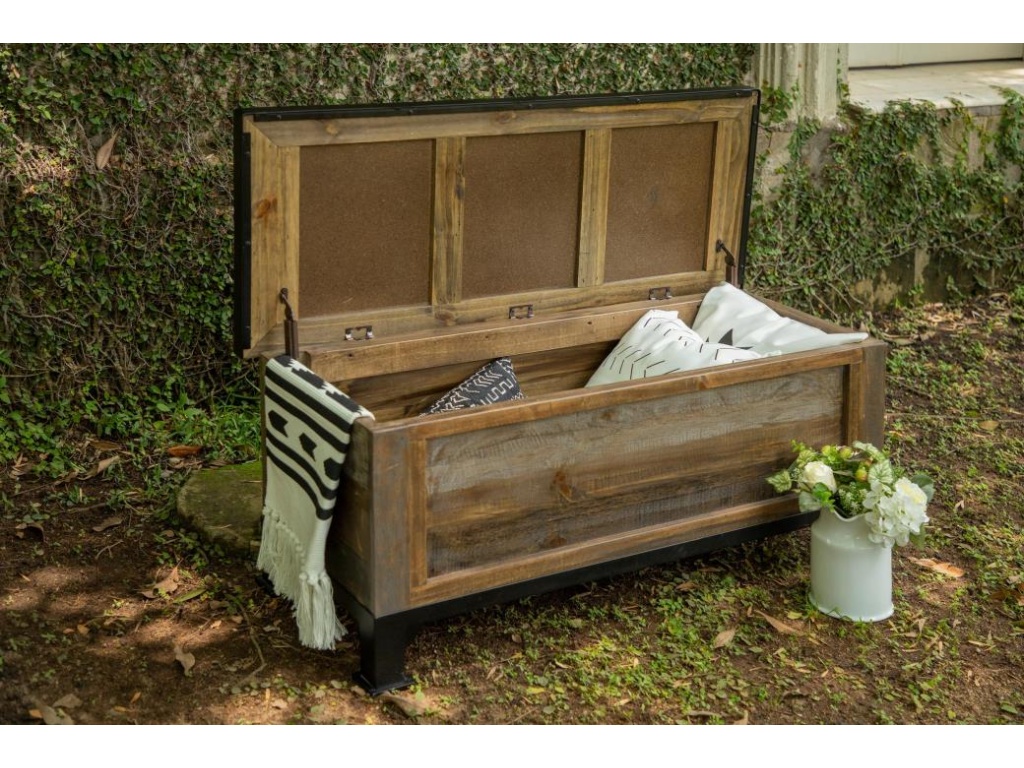 Bedroom Storage Trunk - image 2