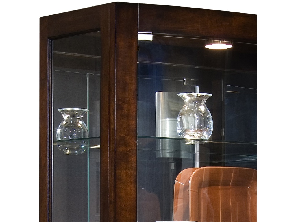 Curio - image 1