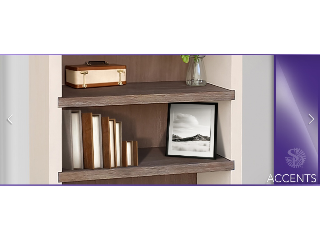 Logan Arched Bookcase - image 3