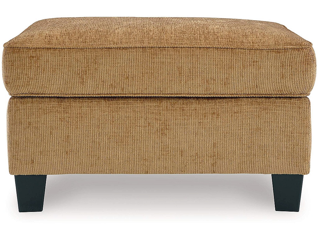 Erinslane Ottoman - image 2