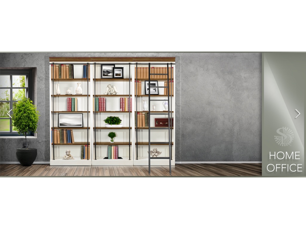 Book Case w/ Ladder - image 1