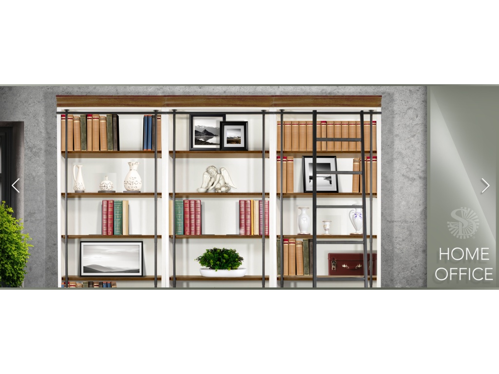 Book Case w/ Ladder - image 2