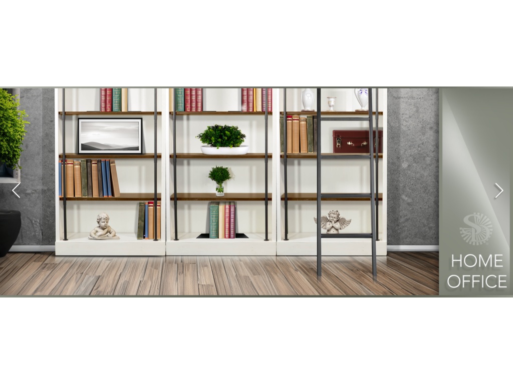 Book Case w/ Ladder - image 3