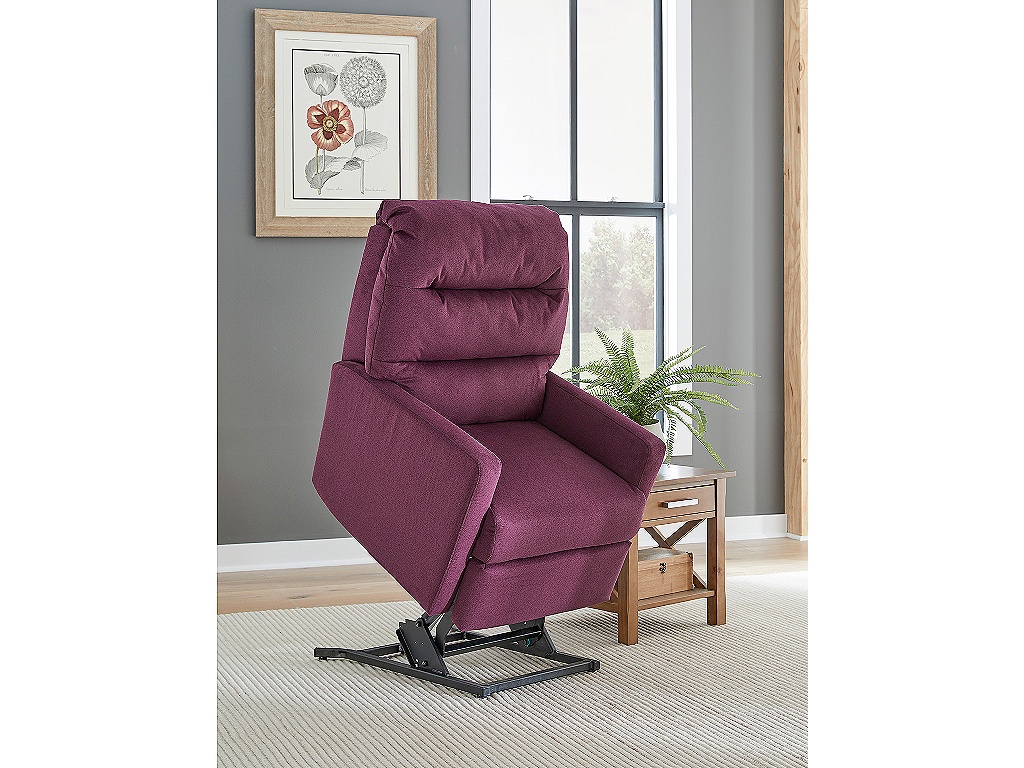 Davida Lift Recliner Zg - image 6