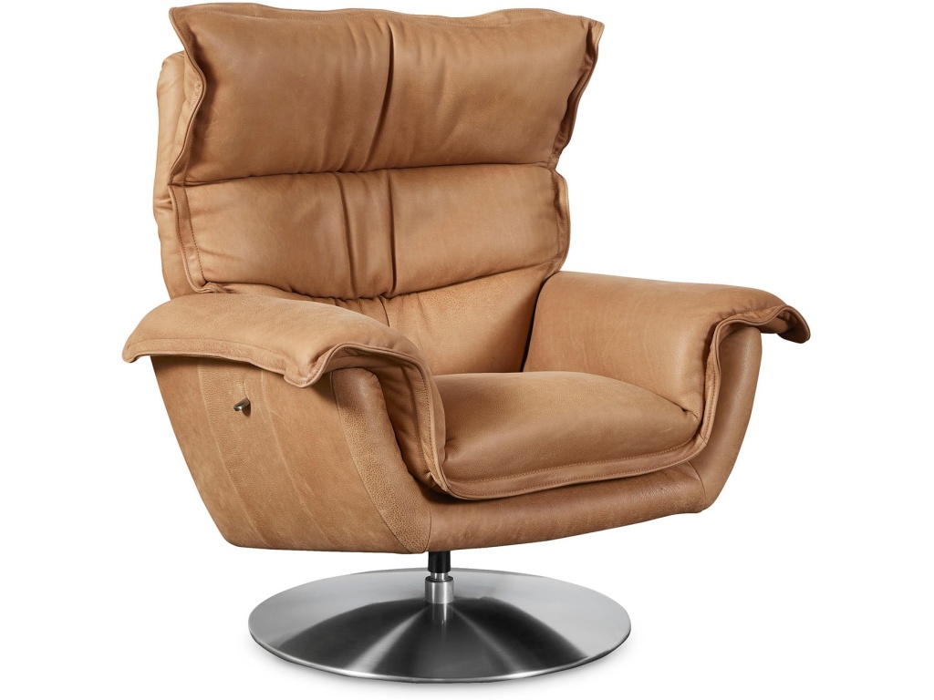 Dunn Leather Swivel Arm Chair - main image