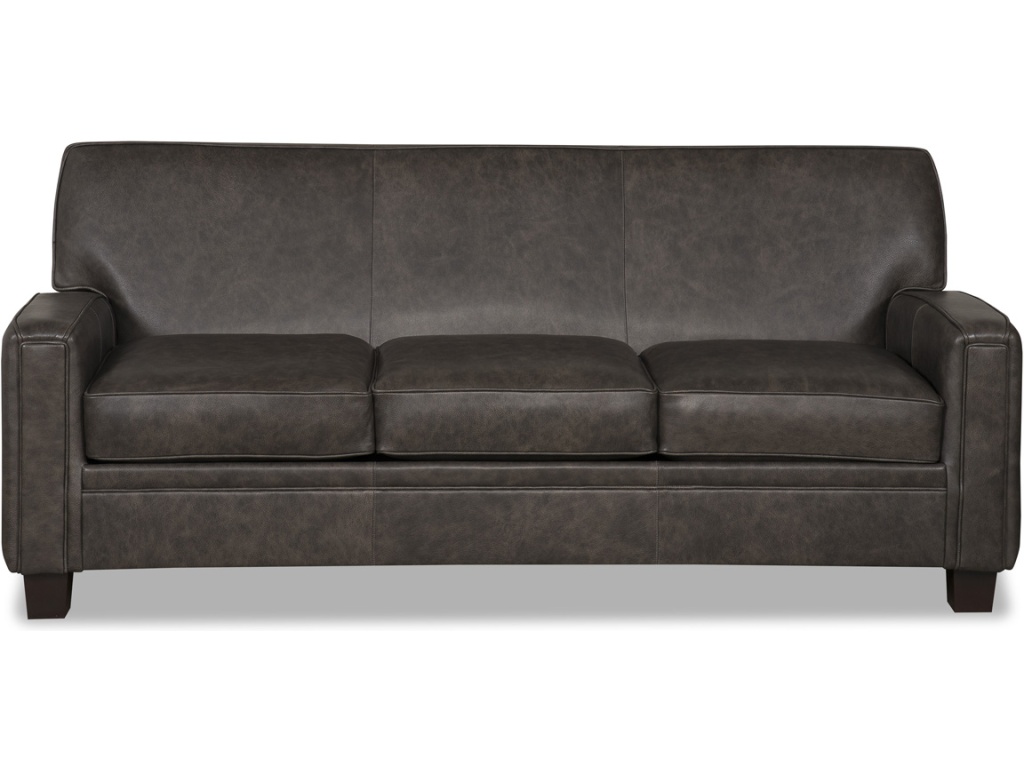 Houck Sleep Sofa - image 1