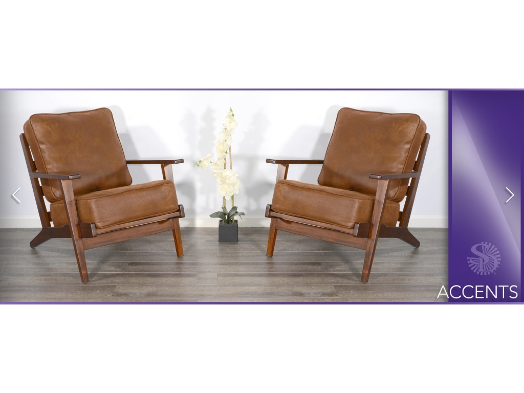 Santa Fe Chair Cushion Seat & Back - image 1