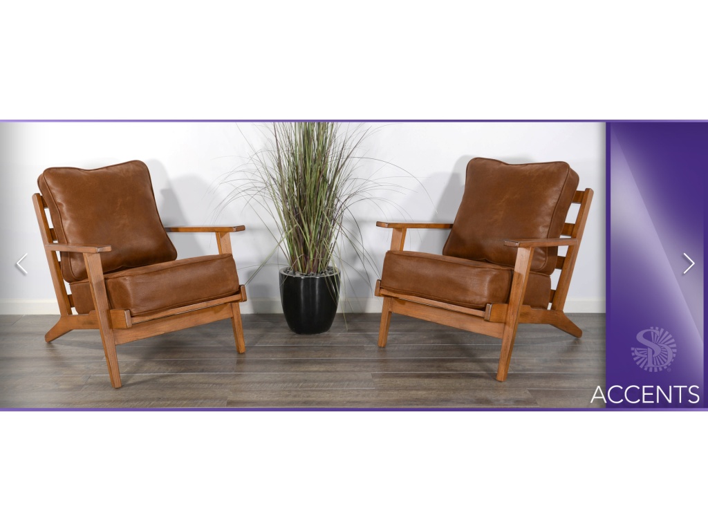 Santa Fe Chair Cushion Seat & Back - image 3