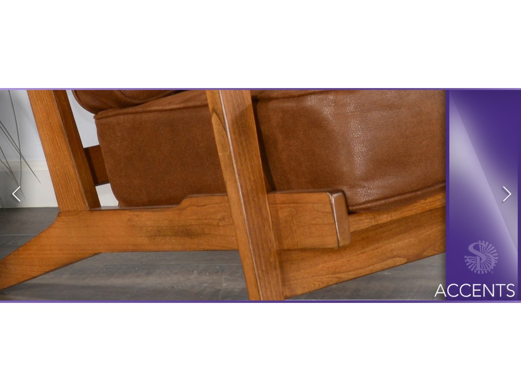 Santa Fe Chair Cushion Seat & Back - image 4