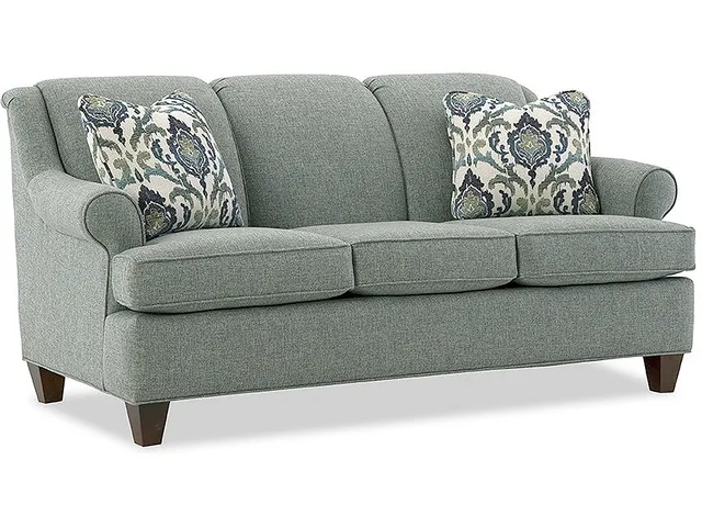 Sleeper Sofa