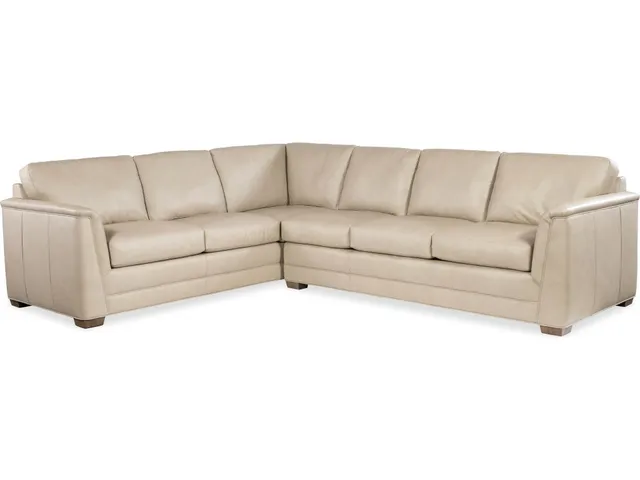 Winter Sectional