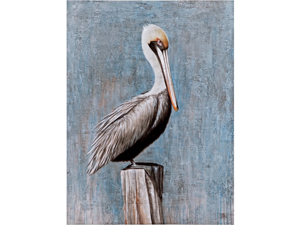 Pelican - main image