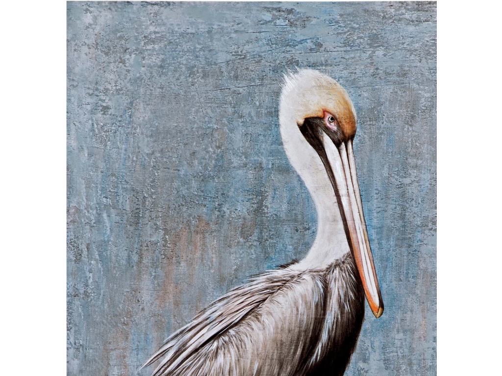 Pelican - image 1
