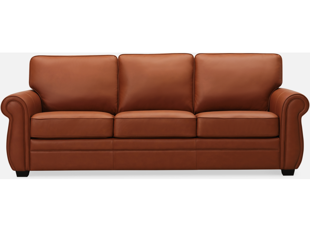 Viceroy Plus - image 1