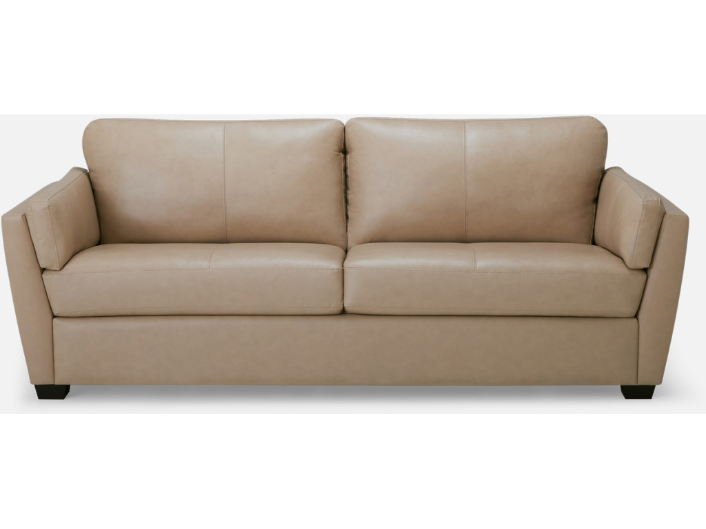Payton - image 1
