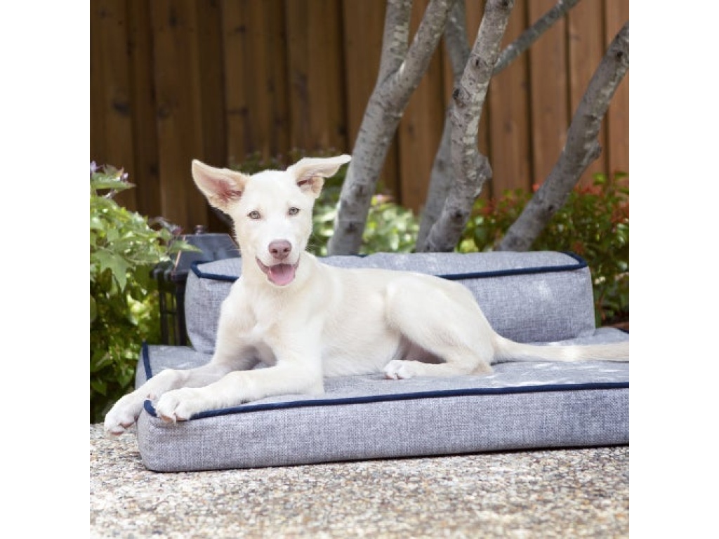 Beau Indoor/Outdoor Bed - image 1