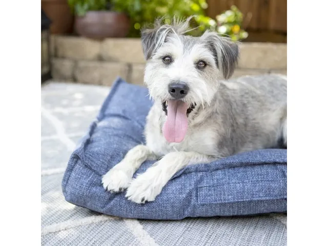Millie Indoor/Outdoor Mattress