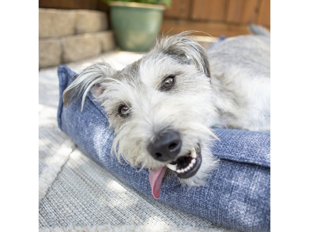 Millie Indoor/Outdoor Mattress - image 5