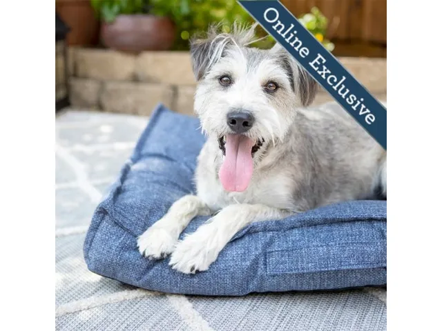 Millie Indoor/Outdoor Mattress