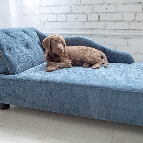 Solana Chaise Lounger, Blue - image 1
