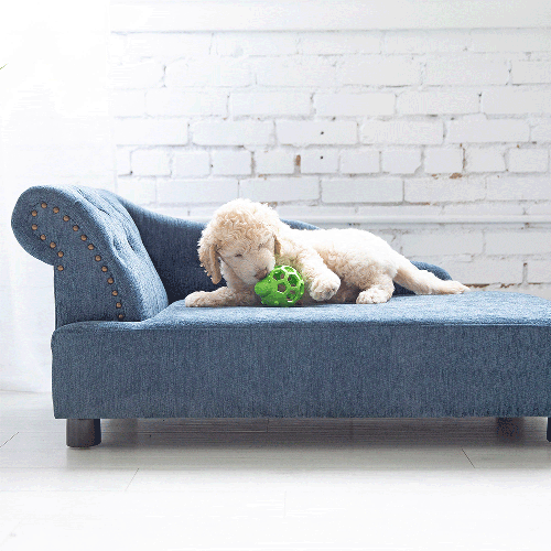 Solana Chaise Lounger, Blue - image 2