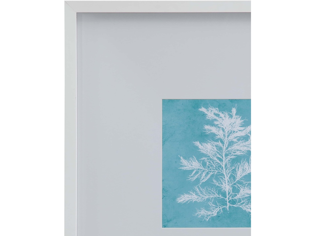White Coral on Blue IV - image 1