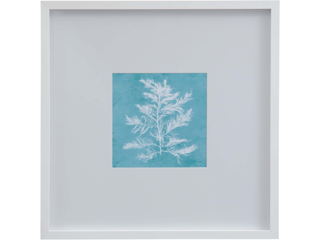 White Coral on Blue IV - main image
