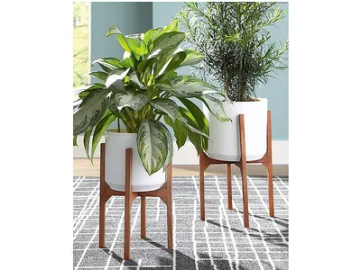Dorcey Planter (Set of 2)